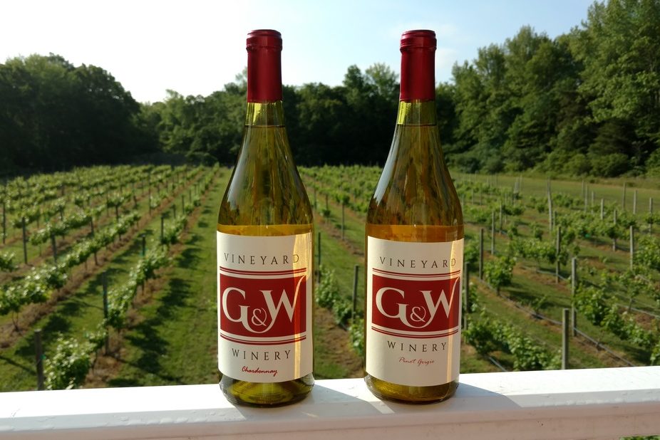 Bottles of Chardonnay and Pinot Grigio overlooking G&W Winery on the Cape May Booze Trail