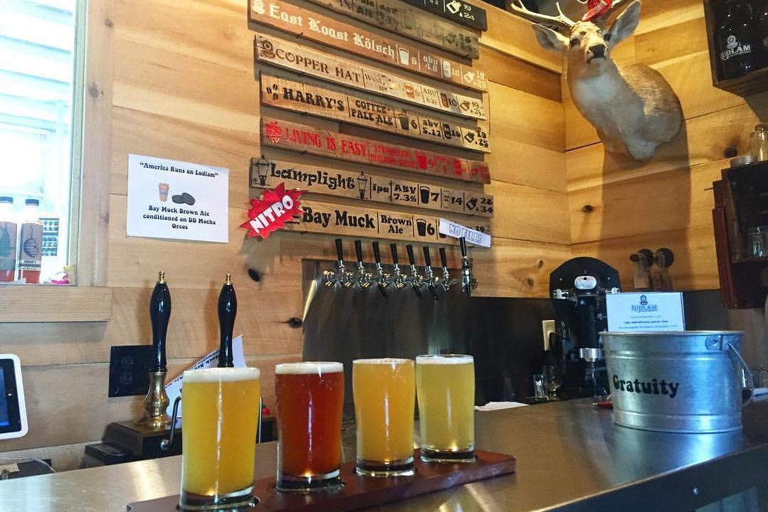 The Ludlam Island Brewing bar with flight of 4 beers and list on wall next to deer head